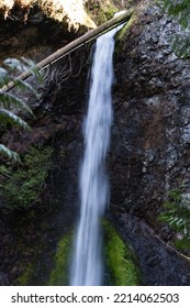 Close Shot Of Marymere Falls, Olympic Peninsula, WA, USA