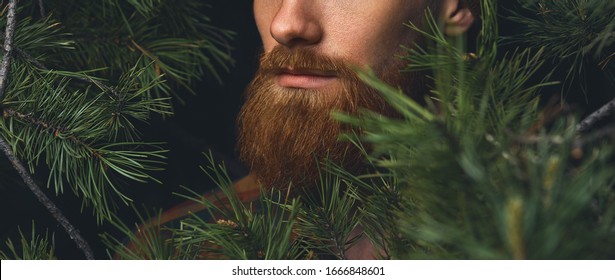 Close up shot of red beard. Hipster man in the forest. Brutal bearded man in the woods on a background of trees Bearded young man confident wide shot with copy free space on left