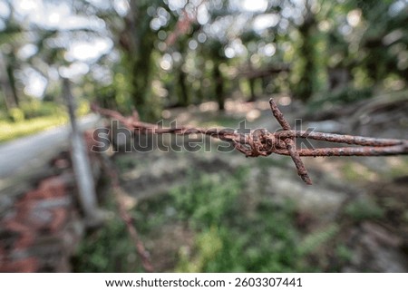 close shot of the rusty corroded Barbed wire fence at the rural agriculture land border.
