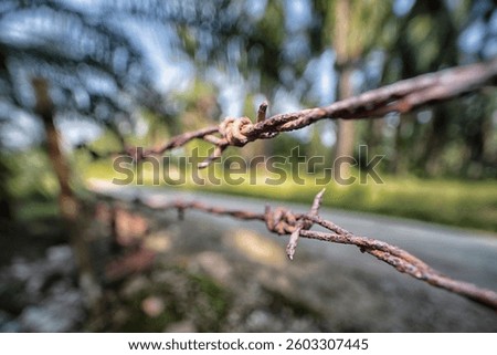 close shot of the rusty corroded Barbed wire fence at the rural agriculture land border.
