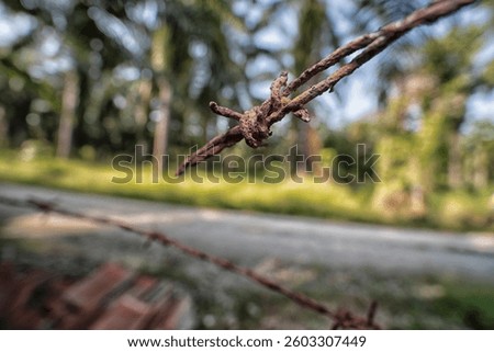 close shot of the rusty corroded Barbed wire fence at the rural agriculture land border.
