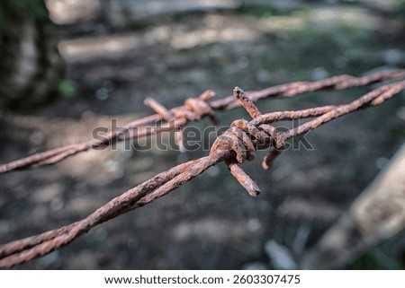 close shot of the rusty corroded Barbed wire fence at the rural agriculture land border.
