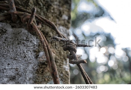 close shot of the rusty corroded Barbed wire fence at the rural agriculture land border.
