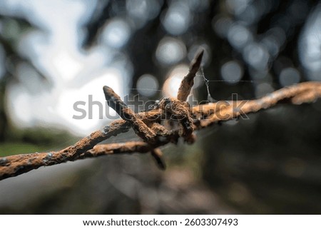 close shot of the rusty corroded Barbed wire fence at the rural agriculture land border.
