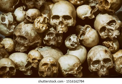 Close Up Shot Of Stacked Skulls