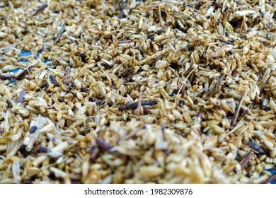 A Close Up Shot Of Wheat Germ And Bran Left After Processing.