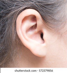 Close Up Shot Of Woman Ear