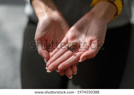 Similar – Image, Stock Photo Hand holding an acoustic guitar with black background with a dramatic and cinematic tone in chiaroscuro