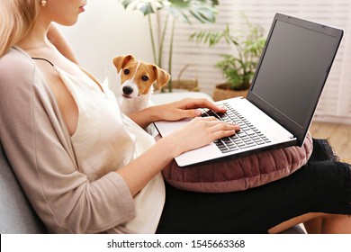 Close up shot of young woman working remotely from home on laptop, sitting on the couch in living room with her jack russell terrier puppy. Lofty interior design. Copy space, background,