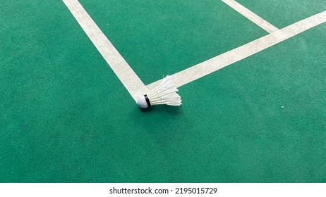 Close Up Of The Shuttlecock Above The Green Badminton Court Line. The Shuttlecock Hit The Line Means The Opposite Team Get Points