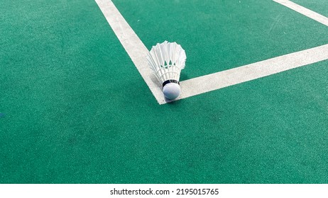 Close Up Of The Shuttlecock Above The Green Badminton Court Line. The Shuttlecock Hit The Line Means The Opposite Team Get Points