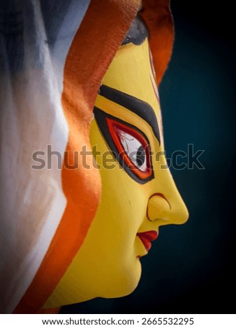 Close side face portrait of maa durga