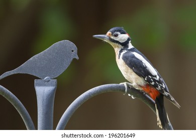 Close up side view of a Great Spotted Woodpecker perched on a curved metal railing facing a metal cutout of a bird on a pole in a garden