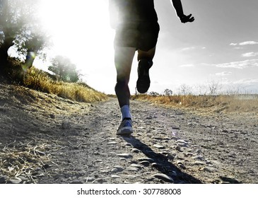 44,765 Man Running Forest Images, Stock Photos & Vectors | Shutterstock