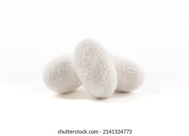 Close Up Of Silkworm Cocoon Isolated On White Background