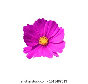 Imagenes Fotos De Stock Y Vectores Sobre Macro Kosmos Shutterstock