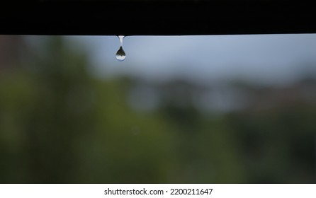 Close Up Of A Single Rain Drop With A Blurred Background
