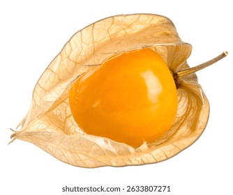Close up of a single, ripe physalis fruit with its papery husk partially open, isolated on a transparent background