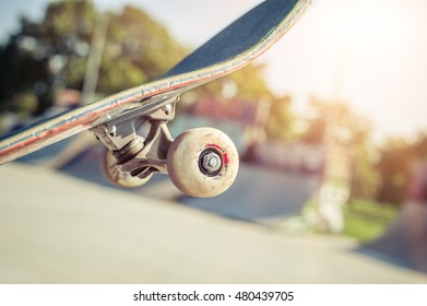 Close Up Of A Skateboard Wheel In Skatepark