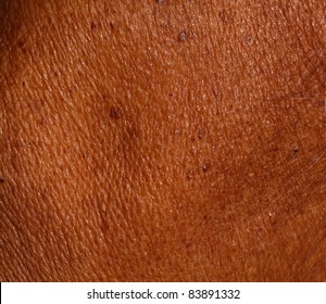Close up of Skin background. - Shutterstock ID 83891332