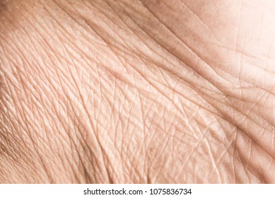 Close Up Skin Texture With Wrinkles On Body Human