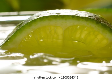 Close up of a slice of lime. Top view of a delicious Margarita cocktail with ice, salt and a peace of lime. Green plants in the background.  Perfect for a nice warm summer. 