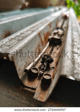 Close up of a small ant navigating through dry leaves and debris on a rusted, corrugated metal surface. The composition features a shallow depth of field, highlighting industrial textures, rustic oxidation, and natural elements. Perfect for concepts of perseverance, micro world exploration, industrial decay, or environmental contrast in a dramatic outdoor setting