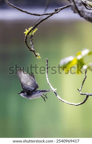 Similar – Foto Bild Höhenangst Farbfoto