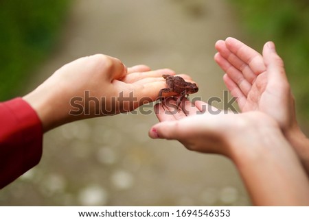 Close up small frog in palm handing off to child hands