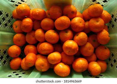 Close up of small orange