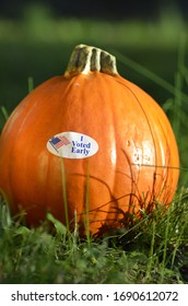 Close Up Small Orange Gourd Ripe Mini Pumpkin In Green Backyard Grass In Yellow Golden Afternoon Light, I Voted Early November US American Election Voting Sticker Patriotic Red White Blue Waving Flag