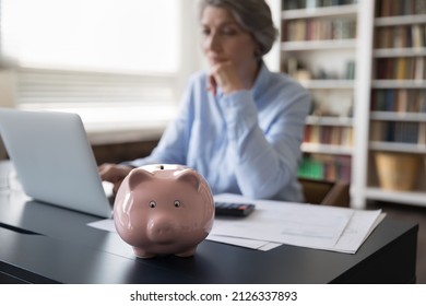 Close Up Small Piggybank Standing On Table With Blurred Focused Middle Aged Old Woman Using Computer Application Planning Investment, Managing Savings Or Making Payments Online, Accounting Concept.