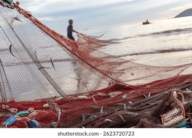 Close up of small silver fish caught in the mesh of a traditional fishing net, highlighting the morning's catch on Cua Lo beach, Vietnam.