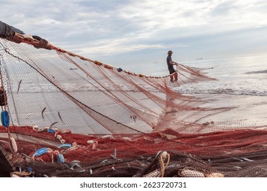 Close up of small silver fish caught in the mesh of a traditional fishing net, highlighting the morning's catch on Cua Lo beach, Vietnam.