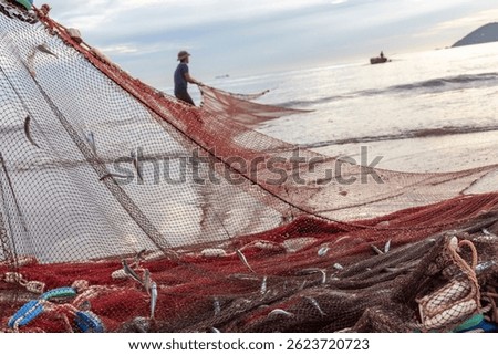 Close up of small silver fish caught in the mesh of a traditional fishing net, highlighting the morning's catch on Cua Lo beach, Vietnam.