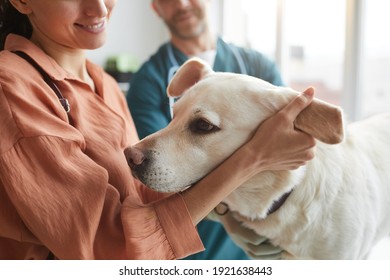 Close Up Of Smiling Female Doctor Stroking Pet Dog During Examination At Vet Clinic, Copy Space