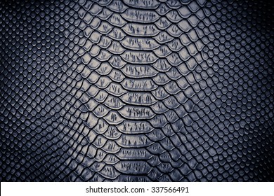 close up of snake skin texture use for background