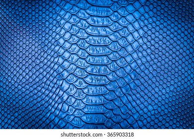 Blue Snake Skin Pattern Texture Background Stock Photo (Edit Now) 299986436