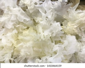 Close up snow fungus, white colored fungi for food and medicine, popular in China and also Chinese cuisine