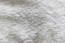 White wool texture background, light natural animal wool, white seamless  cotton, texture of fluffy fur for designers, close-up fragment white wool  carpet - Stock Image - Everypixel