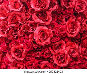 close up soft focus group of red color petal roses background for wedding ceremony decorate , valentine's day 14 february and romance concept