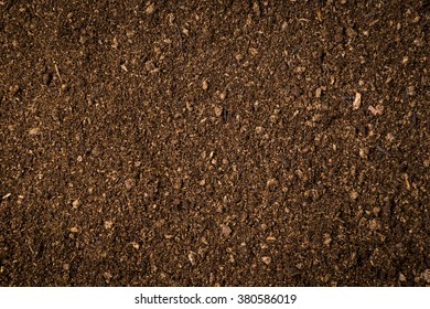 Close Up Soil Peat Moss Dirty Background And Texture