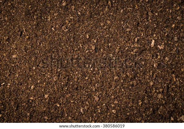 close up\
soil peat moss dirty background and\
texture