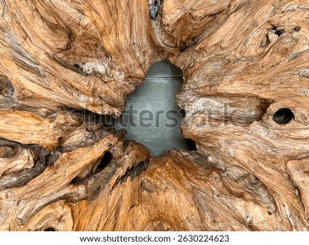 Close up of solid wood artwork and hand craft made of real solid wood log, cut and shaped into a random abstract circular medallion. Suitable for interior accessories.