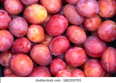 Close Up Of Some Freshly Picked, Ripe Plums. Background. UK