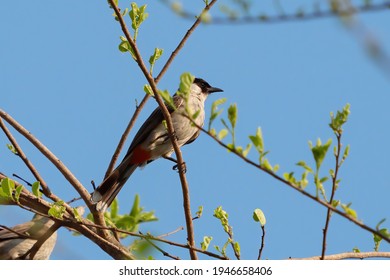 すすけた の画像 写真素材 ベクター画像 Shutterstock