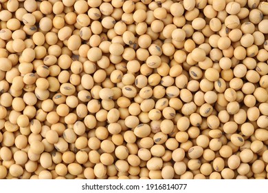 Close up soybeans background top view using for your advertising - Shutterstock ID 1916814077