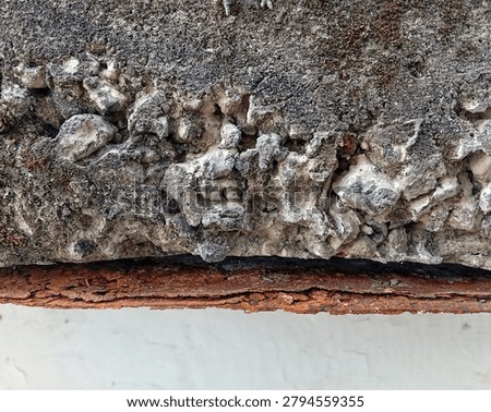 Close up of spalling concrete with exposed rusty rebar and corroded steel. Damaged weathered concrete texture showing aggregate and structural deterioration.