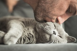 Close Up Of A Spanish Man With A Stubble Closing His Eyes As He Kisses His British Short Hair Cat’s Cheek Having A Nap On A Grey Sofa In A House In Edinburgh, Scotland, United Kingdom
