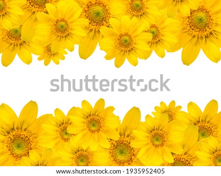 Similar – Image, Stock Photo sunflower blossom